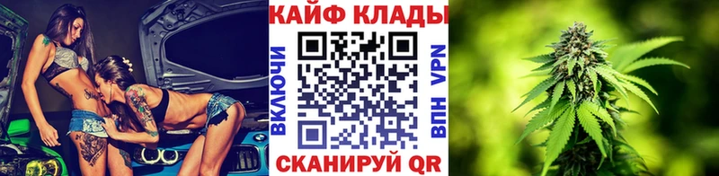 Где можно купить наркотики Нерюнгри COCAIN  АМФЕТАМИН  Псилоцибиновые грибы  Мефедрон  БУТИРАТ  Канабис  Альфа ПВП 
