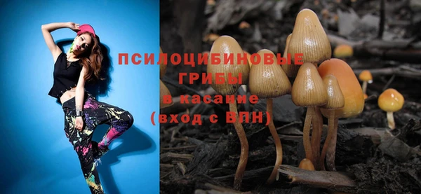 ешки Белоозёрский