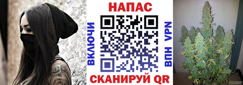 Канабис конопля  Нерюнгри 